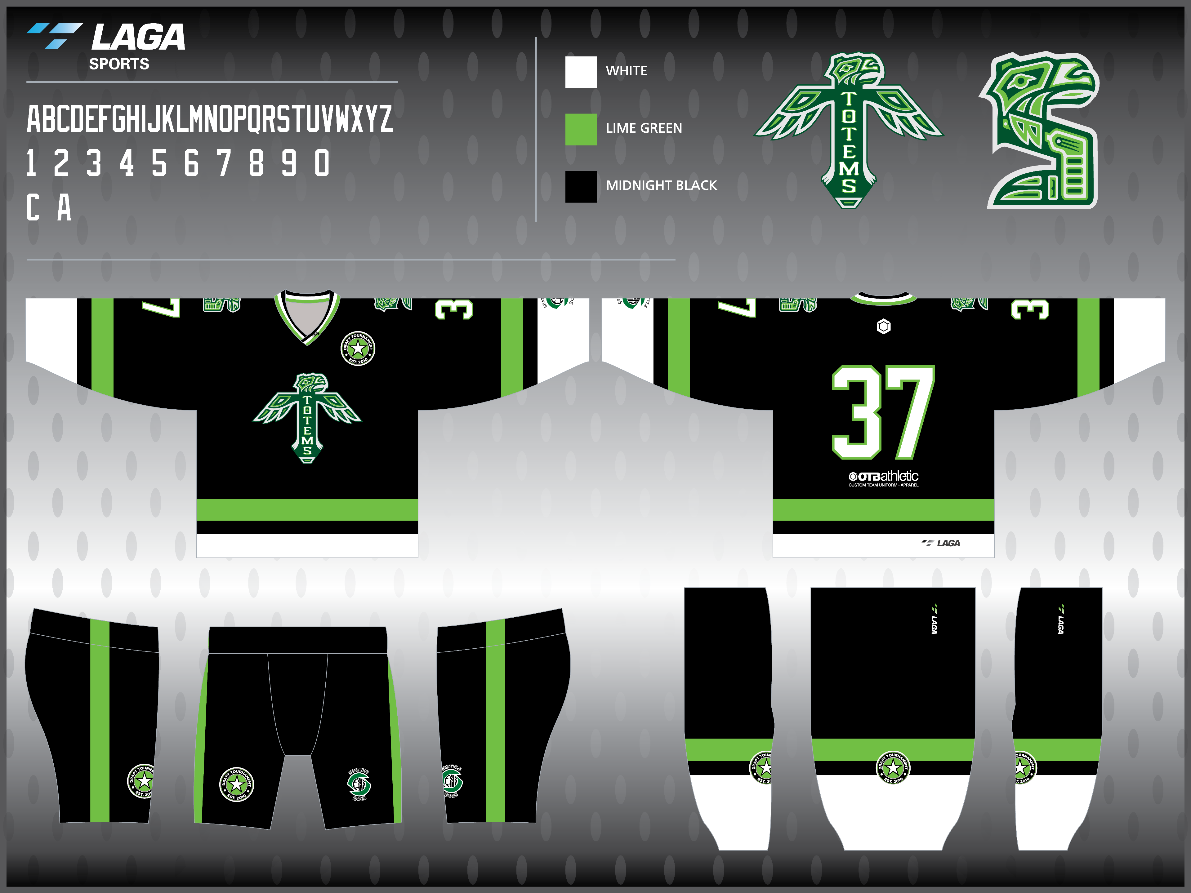 Evergreen or Grunge? Predicting Seattle's Team Name and Jersey Design